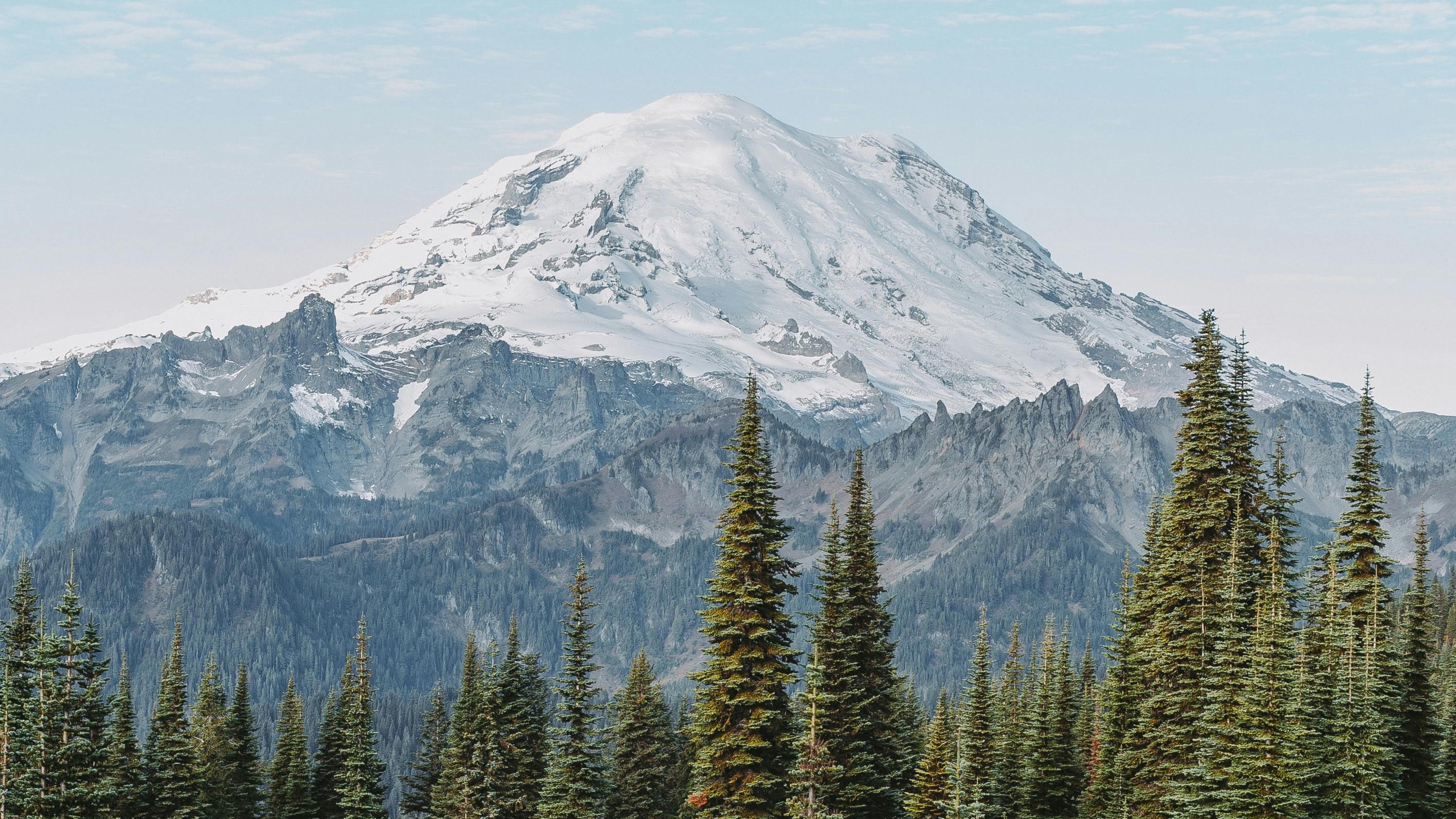 Mt. Rainier in the distance with trees in the foreground.